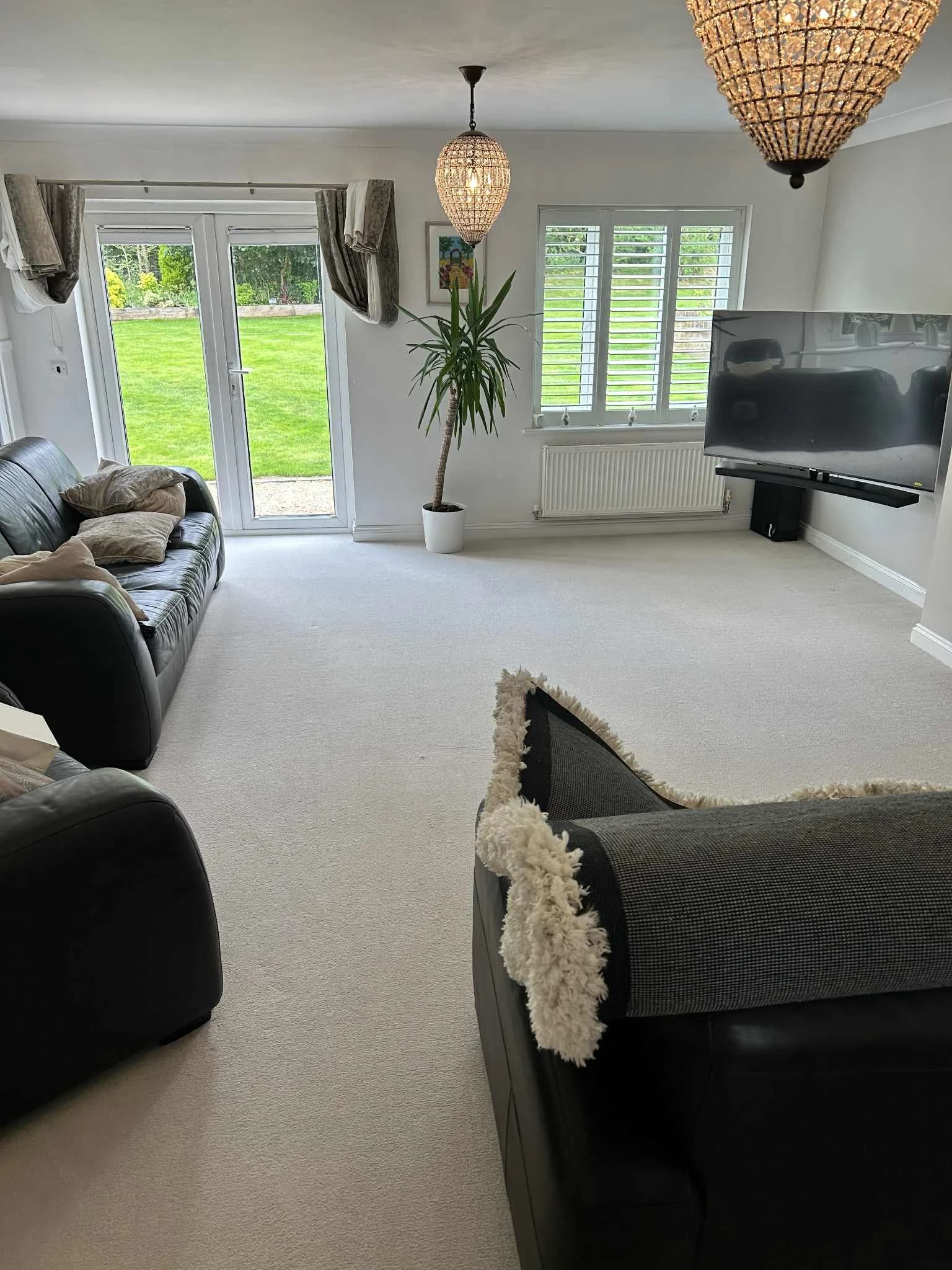 Carpet Cleaning